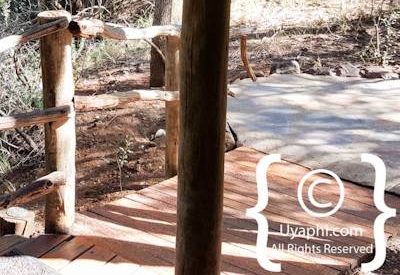 Jaci's Safari Lodge Image Gallery