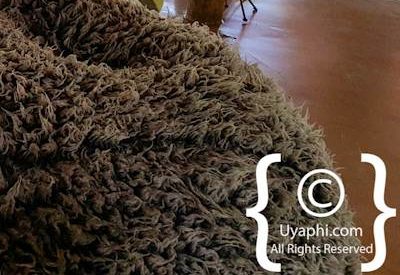 Jaci's Safari Lodge Image Gallery