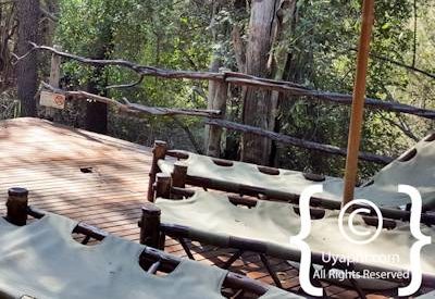 Jaci's Safari Lodge Photo Gallery