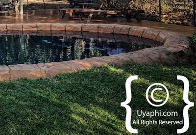 Jaci's Tree Lodge Photo Gallery