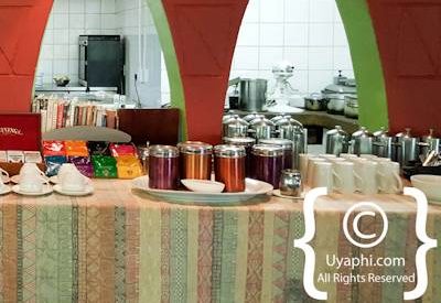 Jaci's Tree Lodge Photo Gallery