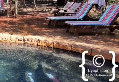 Jaci's Tree Lodge Photo Gallery