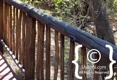 Jaci's Tree Lodge Photo Gallery