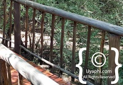 Jaci's Tree Lodge Photo Gallery