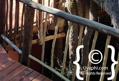 Jaci's Tree Lodge Photo Gallery