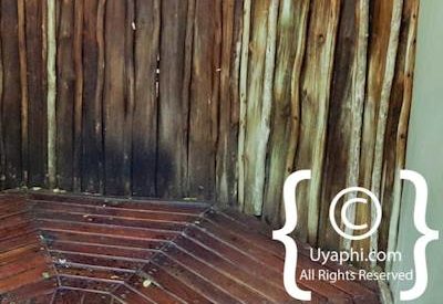 Jaci's Tree Lodge Image Gallery