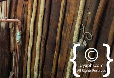 Jaci's Tree Lodge Image Gallery