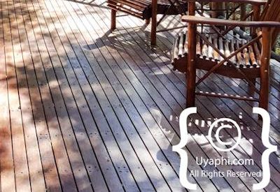 Jaci's Tree Lodge Image Gallery