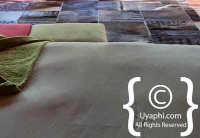 Jaci's Tree Lodge Image Gallery