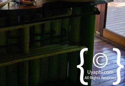 Jaci's Tree Lodge Image Gallery