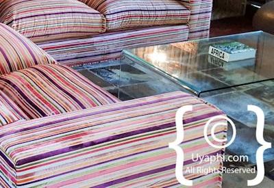 Jaci's Tree Lodge Image Gallery