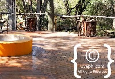 Jaci's Tree Lodge Image Gallery