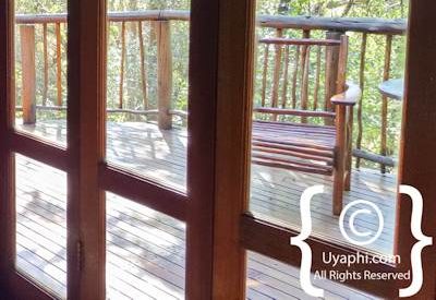 Jaci's Tree Lodge Photo Gallery