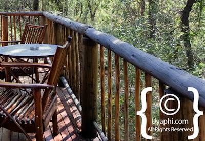 Jaci's Tree Lodge Photo Gallery