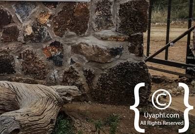 Motswiri Safari Lodge Photo Gallery