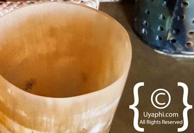 Motswiri Safari Lodge Photo Gallery