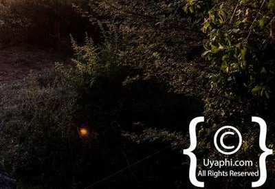 Motswiri Safari Lodge Photo Gallery