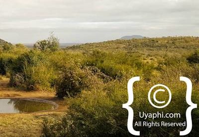 Photo Gallery of Motswiri