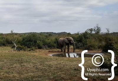 Photo Gallery of Motswiri