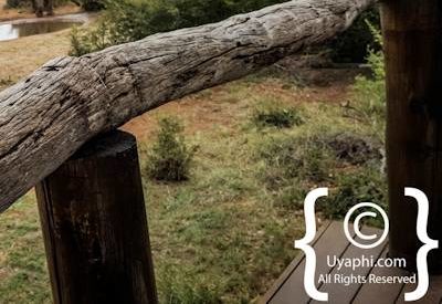 Photo Gallery of Motswiri