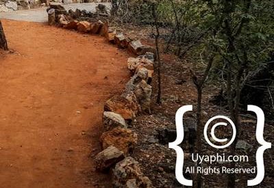 Photo Gallery of Motswiri