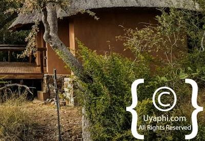 Photo Gallery of Motswiri