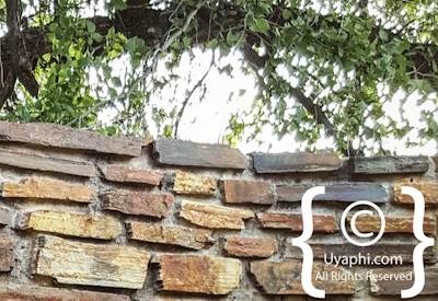 Motswiri Safari Lodge Photo Gallery