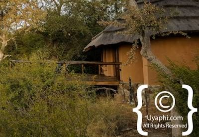 Motswiri Safari Lodge Photo Gallery