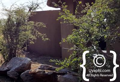 Photo Gallery of Rhulani