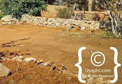 Photo Gallery of Rhulani