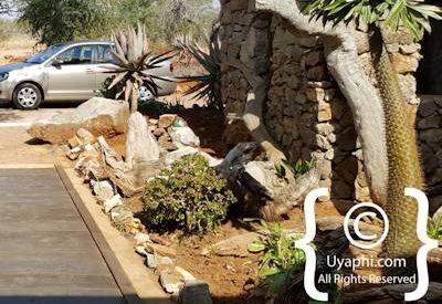 Rhulani Safari Lodge Photo Gallery