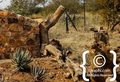 Tuningi Safari Lodge Photo Gallery