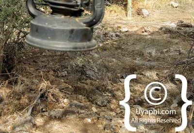 Tuningi Safari Lodge Image Gallery