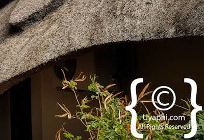 Tuningi Safari Lodge Image Gallery
