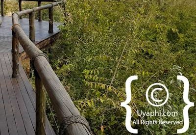 Tuningi Safari Lodge Image Gallery