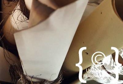 Tuningi Safari Lodge Image Gallery