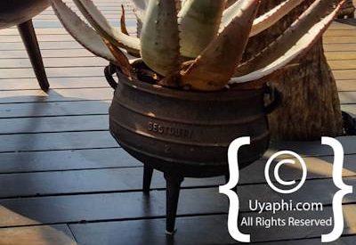 Tuningi Safari Lodge Image Gallery