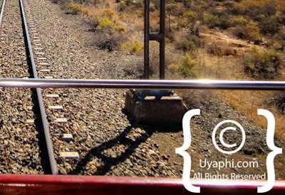 Rovos Rail Photo Gallery