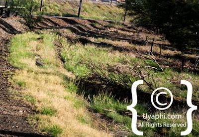 Rovos Rail Photo Gallery