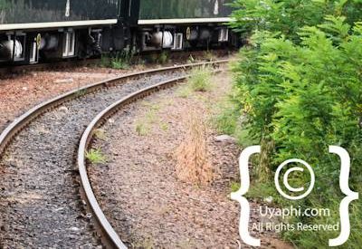 Photographs of Rovos Rail