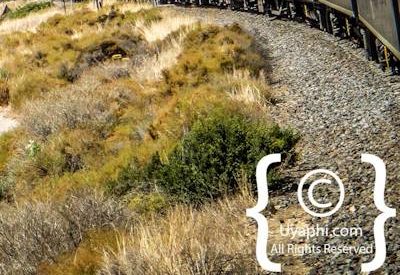 Rovos Rail Photo Gallery