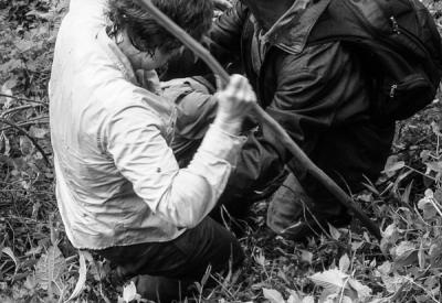 Mountain gorilla silverback close-up Bwindi Impenetrable Forest Uganda gorilla trekking