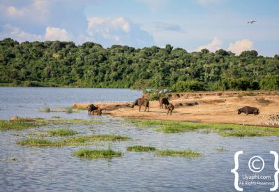 Sunrise savannah Queen Elizabeth National Park Uganda photography