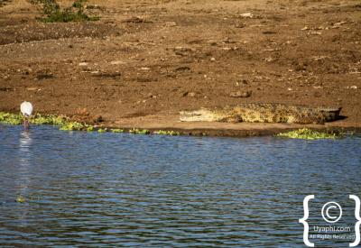 Lake Edward views Queen Elizabeth National Park Uganda photography