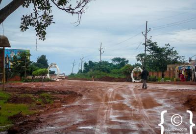 Bwindi Impenetrable Forest Uganda misty rainforest scenery photography