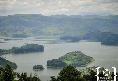 Kibale Forest Uganda chimpanzee habitat scenery photography