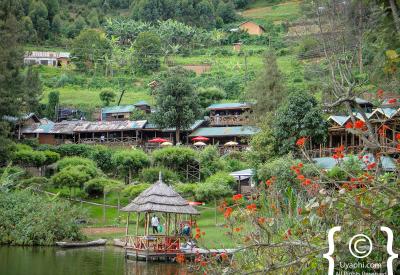 Uganda equatorial rainforest canopy scenery photography