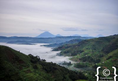 Bwindi Impenetrable Forest Uganda misty rainforest scenery photography