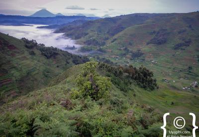 Virunga Volcanoes Uganda Rwanda border misty peaks scenery