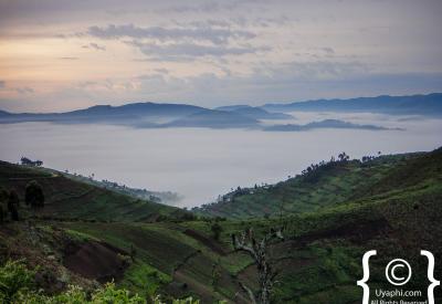 Queen Elizabeth National Park savannah Uganda scenery photography